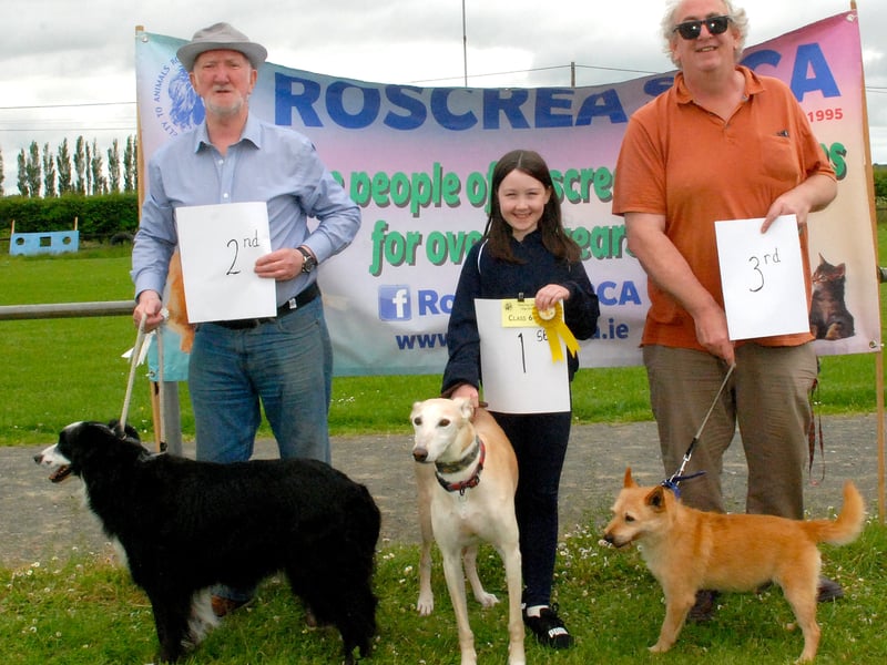 Class 6 - 1st - Pippa Lynam & Sam  2nd - Dave Curtain & Louie  3rd - Padraig Dooley & Marshall (Photo PJ Wright)