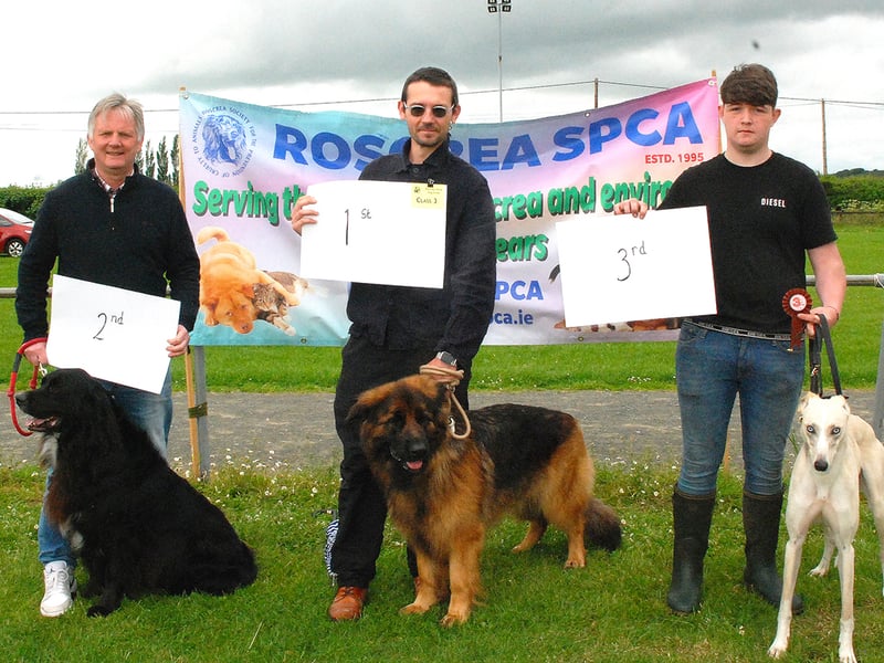 Class 3 - 1st - Mr Fox & Obi  2nd - Danny Kelly & Dexter  3rd - James Guidera & Rex (Photo PJ Wright)
