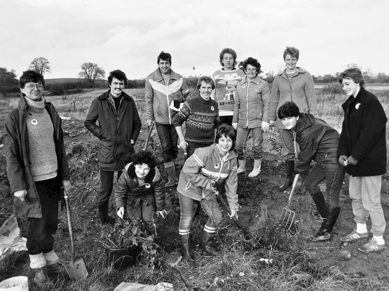 Members of the Newport branch of the Shropshire Trust for Nature Conservation get to work at Norbroom Marsh during National Tree Week in November 1984. The tree planting was a reminder of the community's efforts to care for and improve the local environment. Do you remember Norbroom Marsh in those days, or getting involved in local tree planting and conservation projects?
