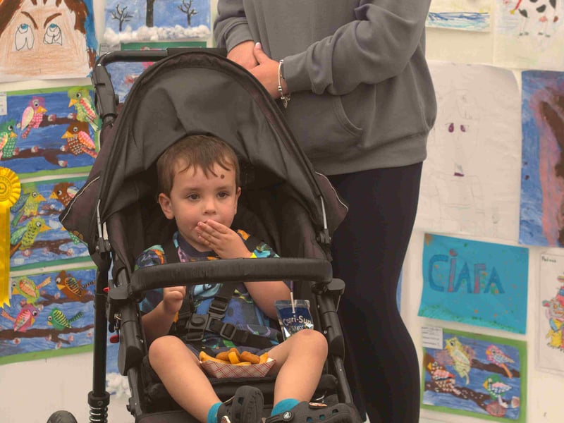 Nicole Walsh from Carrick-on-Suir with Matteo Jaupaj at the art competition section of the Iverk Show