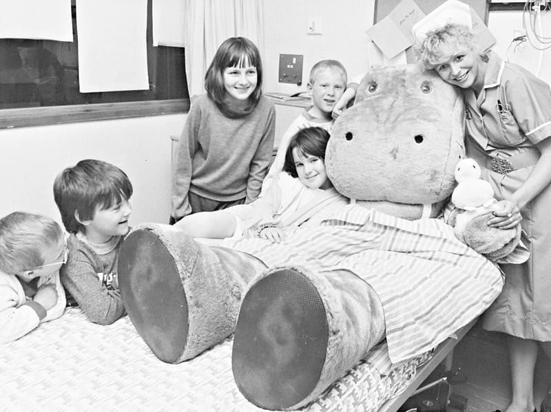 A six-foot hippo mascot from Silentnight beds brings some fun to children at Russells Hall Hospital in Dudley in May 1989. Staff Nurse Andra Nunn is pictured with Joanna Hill, Aaron Steen and fellow young patients during the unusual visit. Do you remember seeing characters like this making special visits to local hospitals?