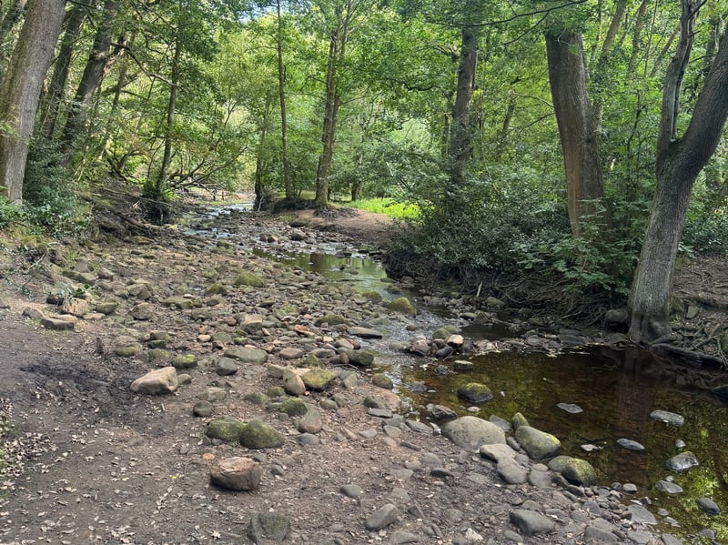 A drying river bed near Bradfield, Sheffield. Photo: Iconic Media