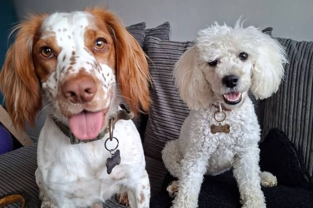 Best buds Rodger and Ivy