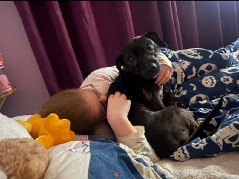 Kirsty said: "My beautiful baby Izzy, she's 12 now and is my daughters best friend, wherever my daughter is, Izzy is right alongside."