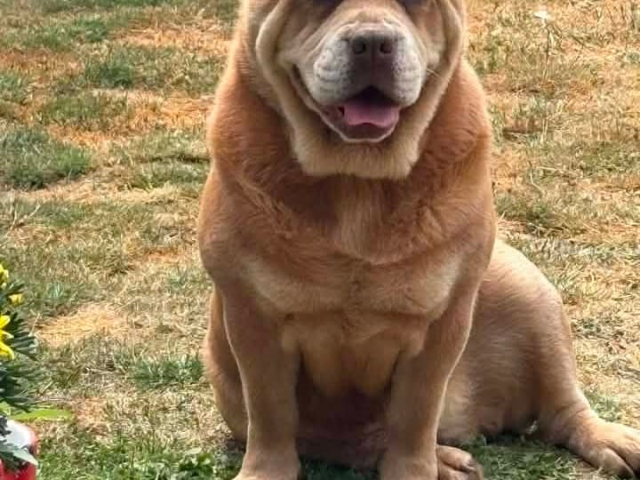Gary Evans shared this photo of Betty.