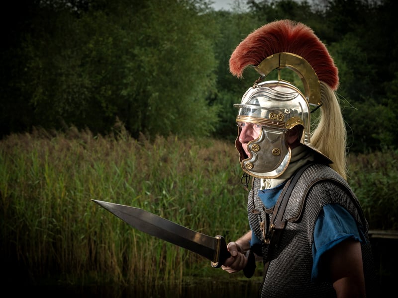 The Romans aren't just coming they've landed at Brockholes Nature Reserve