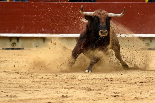 No person shall drive or lead, or cause to be driven or led, in any street or public place, any bull exceeding the age of ten months, unless it be properly secured and kept under proper control.
