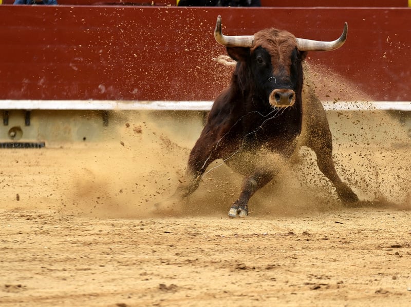 No person shall drive or lead, or cause to be driven or led, in any street or public place, any bull exceeding the age of ten months, unless it be properly secured and kept under proper control.