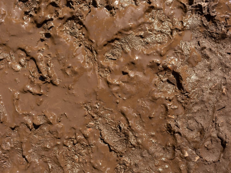 There is a bylaw that says that any mud, clay, lime or other material that falls from your vehicle onto the highway must be removed from the road. This includes trailers and agricultural vehicles.
