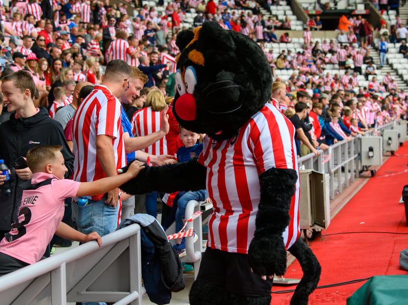 Sunderland fans in action at the Stadium of Light during the game against Fulham in the Premier League. Photo by Chris Fryatt.