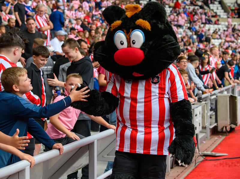 Sunderland fans in action at the Stadium of Light during the game against Fulham in the Premier League. Photo by Chris Fryatt.