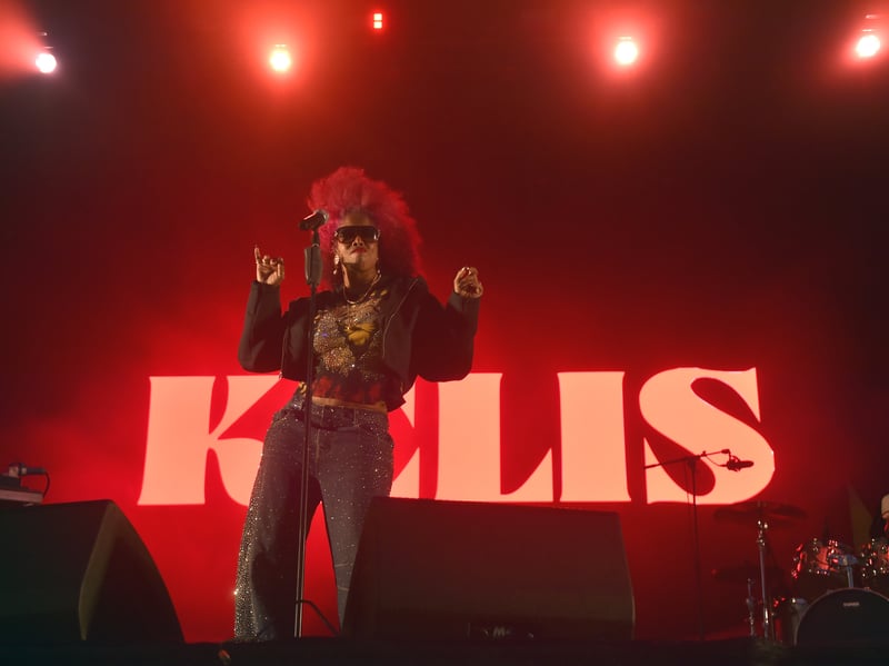 Kelis performing on the Castle Stage.
