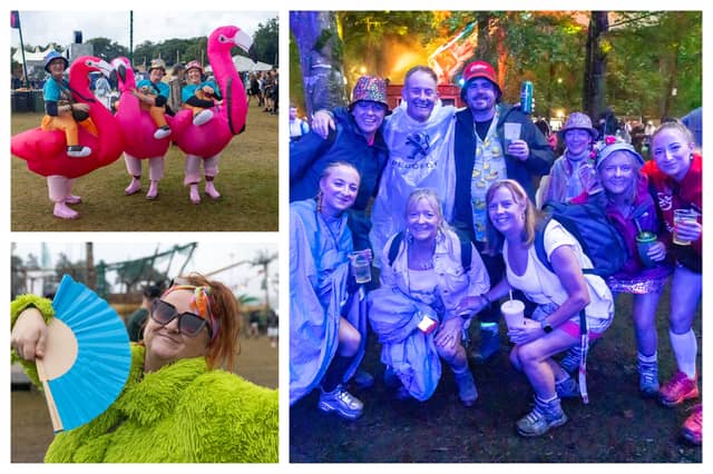 Electric Picnic fun in Stradbally on Saturday.