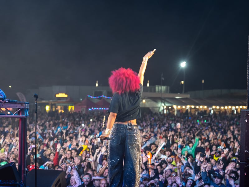 Kelis delighted festival-goers at Victorious