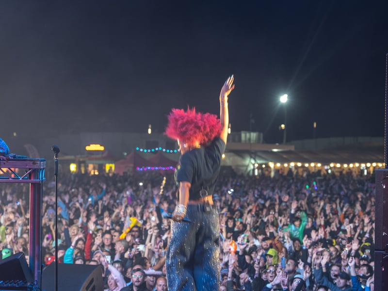 Kelis on the Castle Stage
