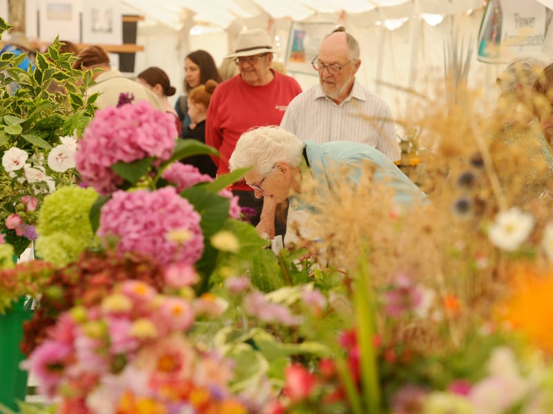 The horticultural show at the Emsworth Show

Picture: Sarah Standing (310826-421)