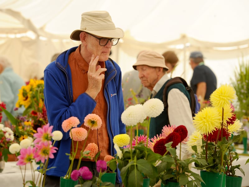 The horticultural tent at the Emsworth Show