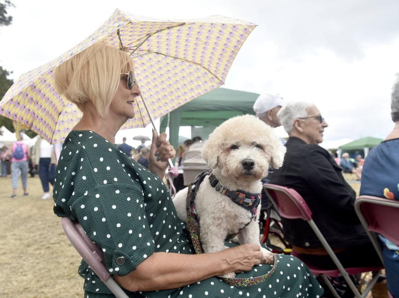 Jackie Headon from Portsmouth, watching one of the shows with her Bichon Frise Barney (10).

