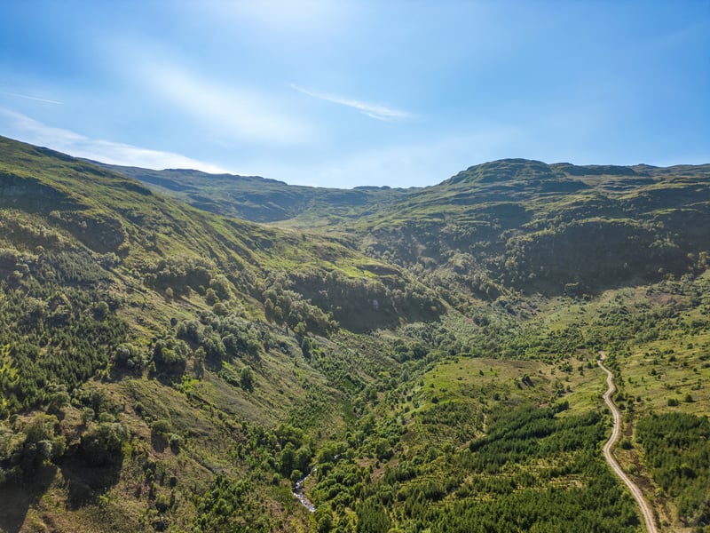 Across its 515 acres, Carrick Castle Estate includes open grassland, rough pasture, mature woodland, areas of natural regeneration and shore frontage.