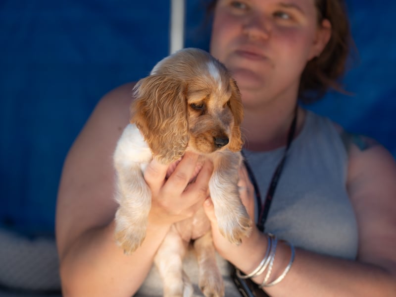 RSPCA Stubbington Ark Fete