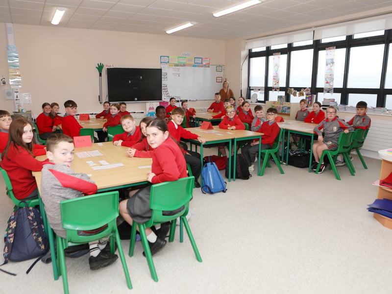 Ms Harkin's 5th class