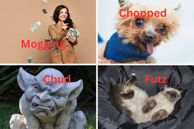 Do you know what these slang terms mean.