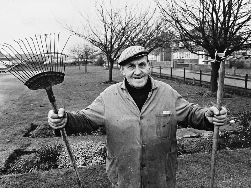 Willenhall Box Company was being praised for putting a little more greenery around its factory in November 1988. Company gardener Vic Baker had created a garden with lawns, trees and shrubs at the Spring Lane site, impressing Walsall Council officials who hoped other businesses would follow its example. The council said well-maintained industrial sites could make a difference for workers, neighbours and the wider community. Vic Baker, of Darlaston, is pictured in the garden. Do you remember the Willenhall Box Company or its Spring Lane factory? What other local factories do you remember having well-kept gardens or green spaces?