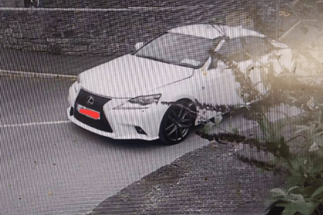 The car caught on camera at Ardrahan GAA pitch