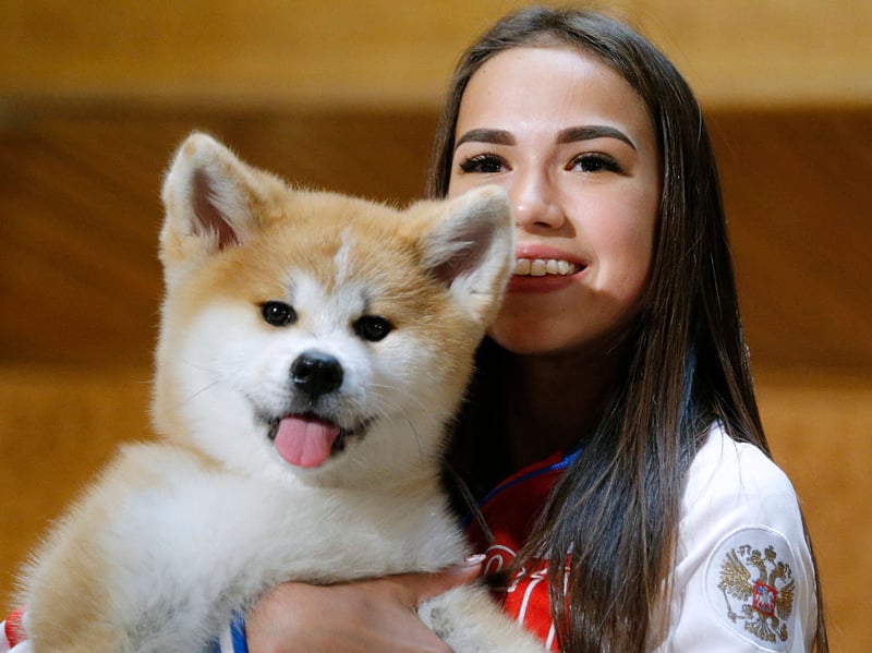 In Japan, where they originate, the Akita is the last word in guard dogs. This is another breed whose extreme vigilance and distrust of strangers mean they can be trusted to keep your safe - and they have the muscle (and teeth) to back it up. They are also playful and loving companions - as long as you keep on their right side! 
