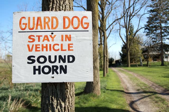 Some breeds make better guard dogs than others.