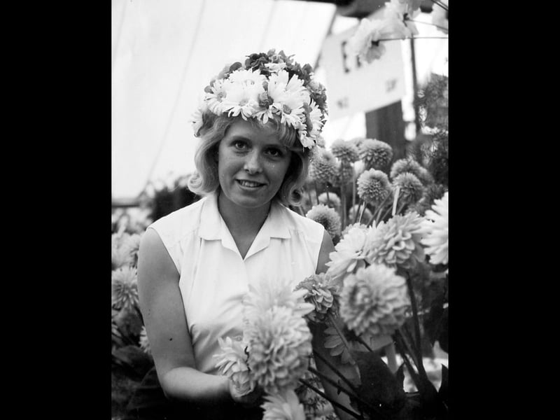 Framed by vibrant dahlias and wearing a delightful crown of fresh blooms, Miss Shropshire 1964, Joan Taylor, poses at the world-famous Shrewsbury Flower Show in The Quarry. Pictured during her reign in August 1964, Joan was a star attraction at the county’s premier summer event, drawing crowds as she carried out her official duties amongst the prize-winning floral displays. The delightful photograph captures all the charm and elegance of a mid-1960s Shropshire summer. Do you remember seeing Miss Shropshire 1964 at The Quarry during the Flower Show that year?