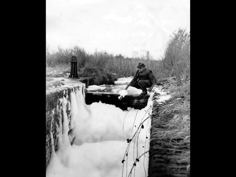 A mammoth build-up of suds had formed in the old lock of the Trench arm of the Shropshire Union Canal near Wappenshall when this photograph was taken on February 17, 1964. Farmer Mr Eddie Bromley is pictured beside the unusual sight near his farm. The foaming canal made for a memorable scene in the Shropshire countryside, but what caused the huge build-up remains a mystery. Do you remember the old canal at Wappenshall? Did you ever see anything like this there?