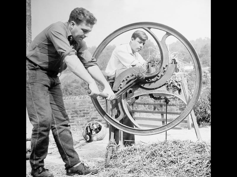 This iron chaff cutter, more than 100 years old, was still proving its worth when this photograph was taken on September 22, 1962. Paul and Roger France, of Coalford, Jackfield, near Ironbridge, are pictured demonstrating the machine as it chopped up straw. The sturdy old piece of farm equipment had clearly stood the test of time, offering a glimpse of traditional farming methods that were still in use in Shropshire in the 1960s. Do you remember old farm machinery like this? Did anyone in your family still use traditional equipment on the farm?