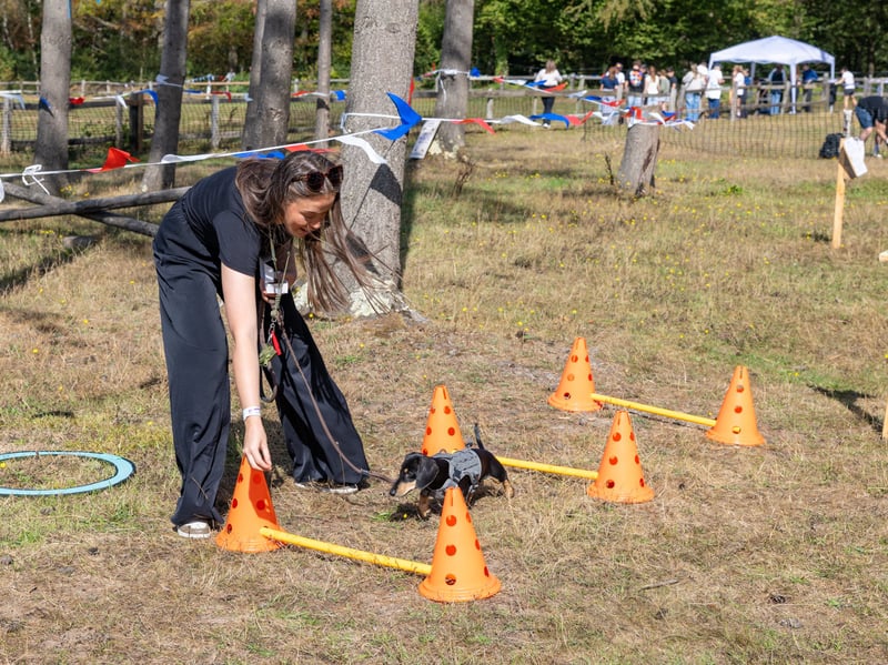 Hampshire Dachs-Fest 2026 on Saturday, September 5.