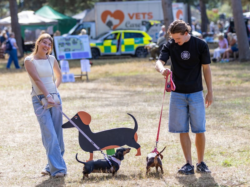 Hampshire Dachs-Fest 2026 on Saturday, September 5.