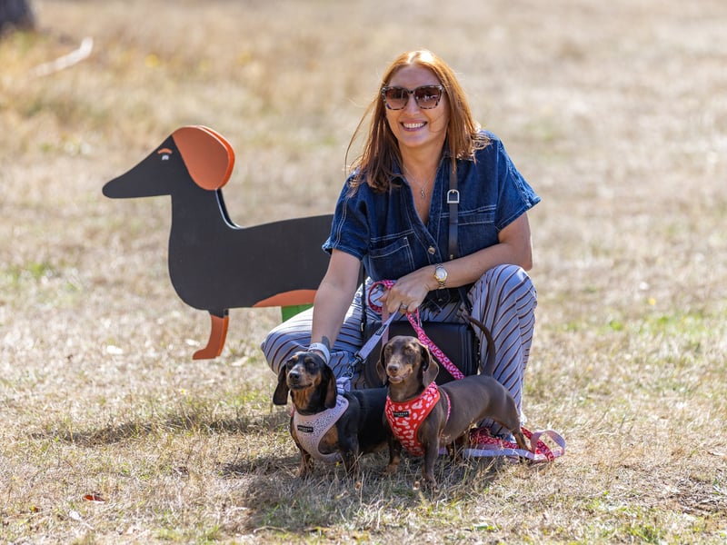 Hampshire Dachs-Fest 2026 