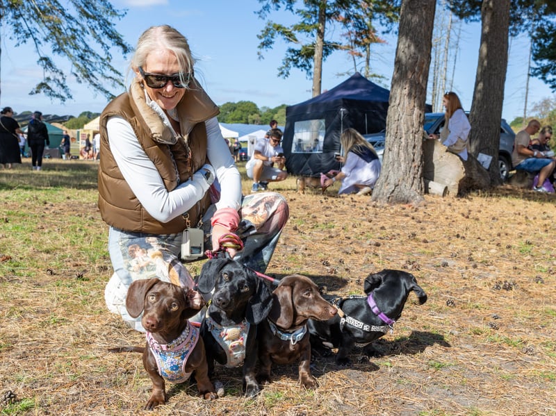 Dave, Luna, Bear, DJ with owner Amanda 