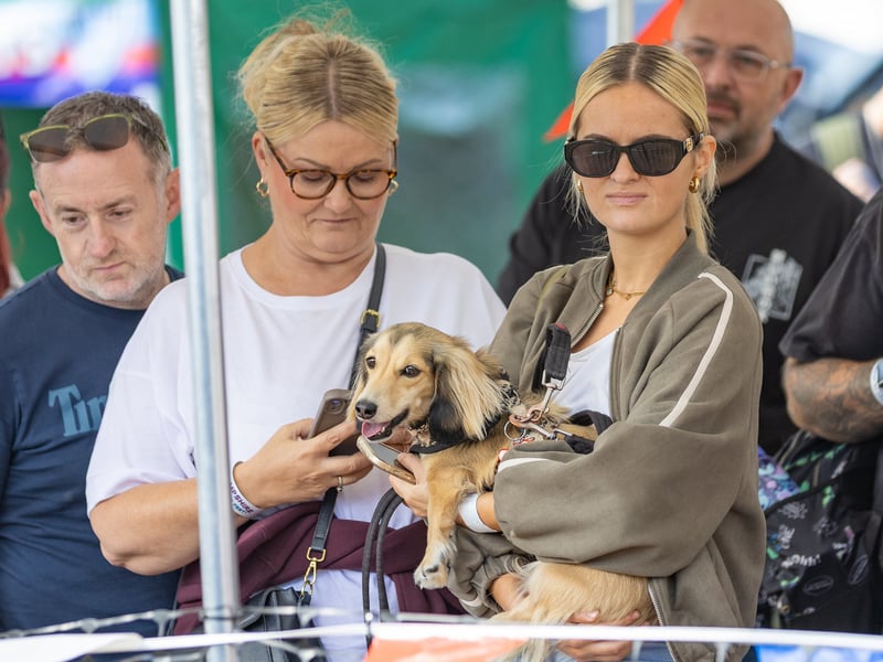 Hampshire Dachs-Fest 2026 on Saturday, September 5.