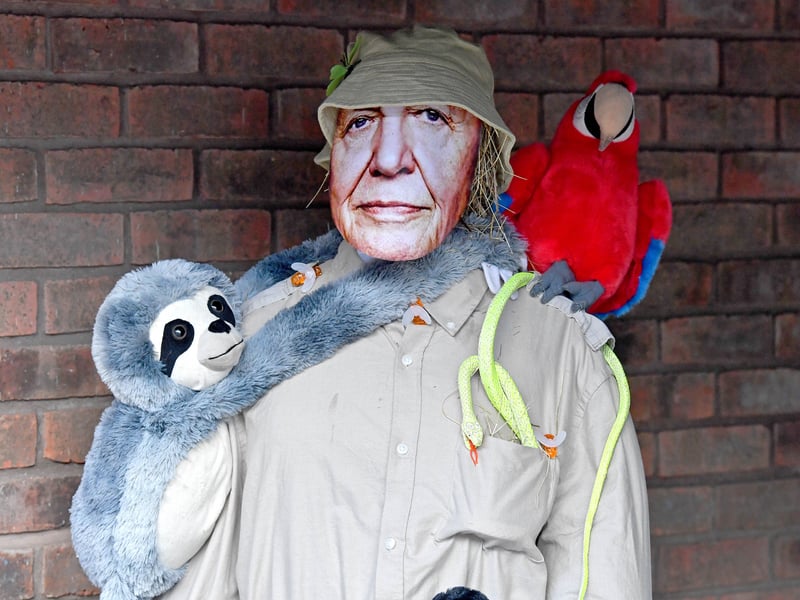 The Kinver scarecrow trail returned this past weekend sponsored by Cancer Research Kinver and the Enville Fundraising Group.