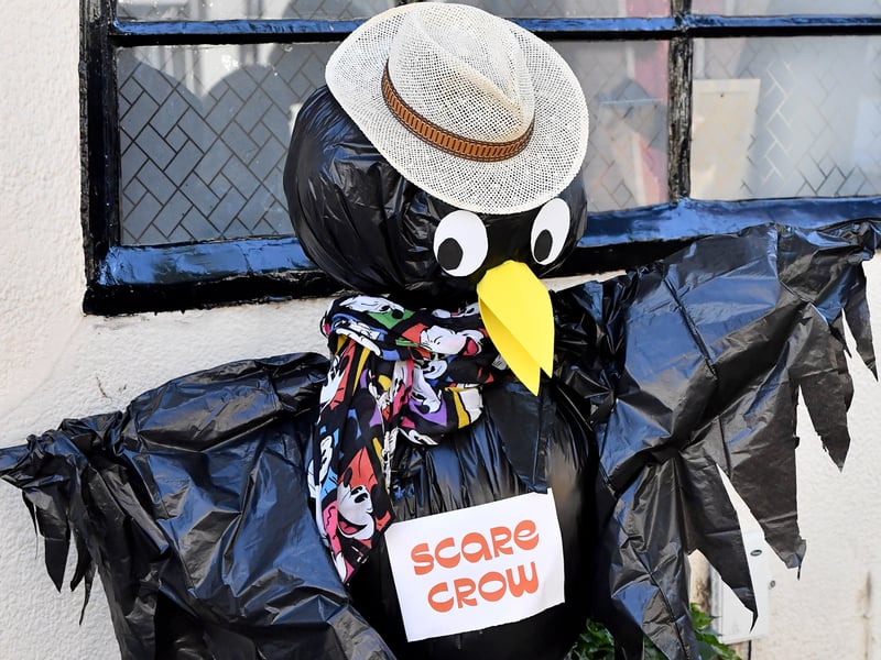 The Kinver scarecrow trail returned this past weekend sponsored by Cancer Research Kinver and the Enville Fundraising Group.