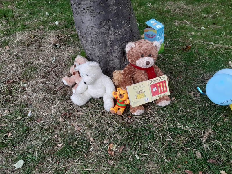 There were an array of teddy bears at the picnic