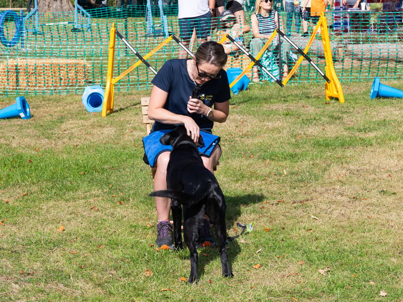 Bark at Staunton Country Park took place on Sunday, September 6.