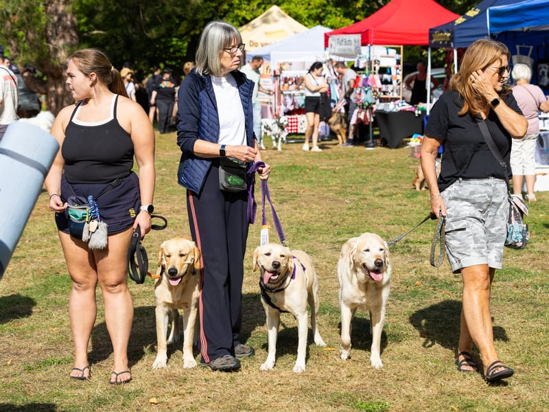 Bark at Staunton Country Park on Sunday, September 6.