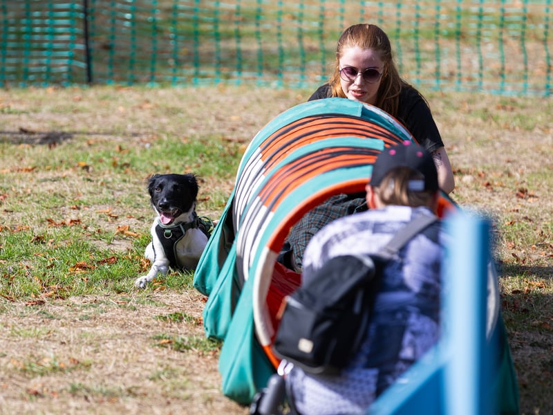 A number of activities and demonstrations kept families and dogs entertained.
