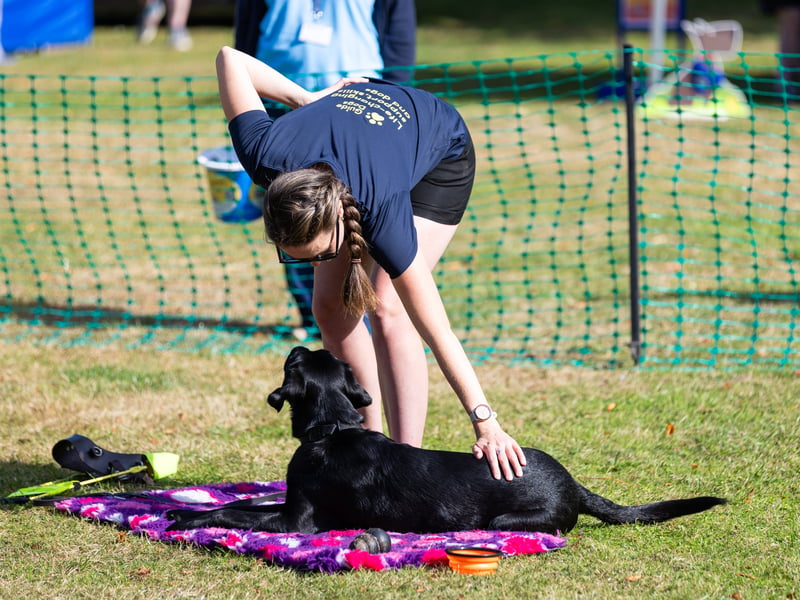 Bark at Staunton Country Park on Sunday, September 6.