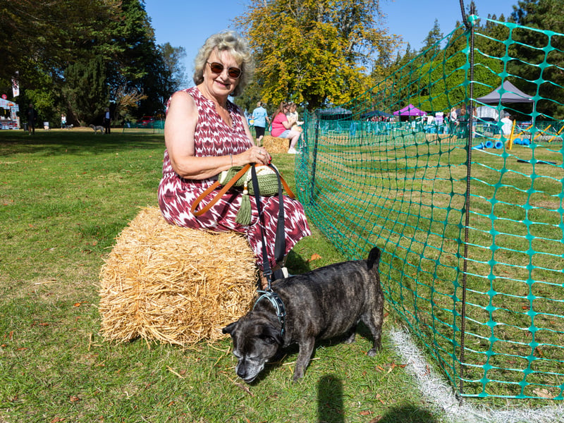 Sandy with Reggie watching the guide dogs show