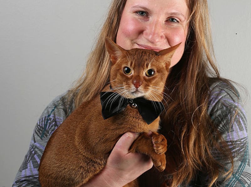 Nicknamed 'the Einstein of the cat world', the Abyssinian is broadly considered the cleverest of all the cat breeds. These smart felines are exceptionally curious, alert, and quick to learn. They enjoy puzzles, exploring their surroundings, opening things, and figuring out how household objects work (sometimes to the point of accidentally destroying them).