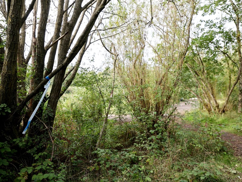 The scene at the Wyrley and Essington nature reserve