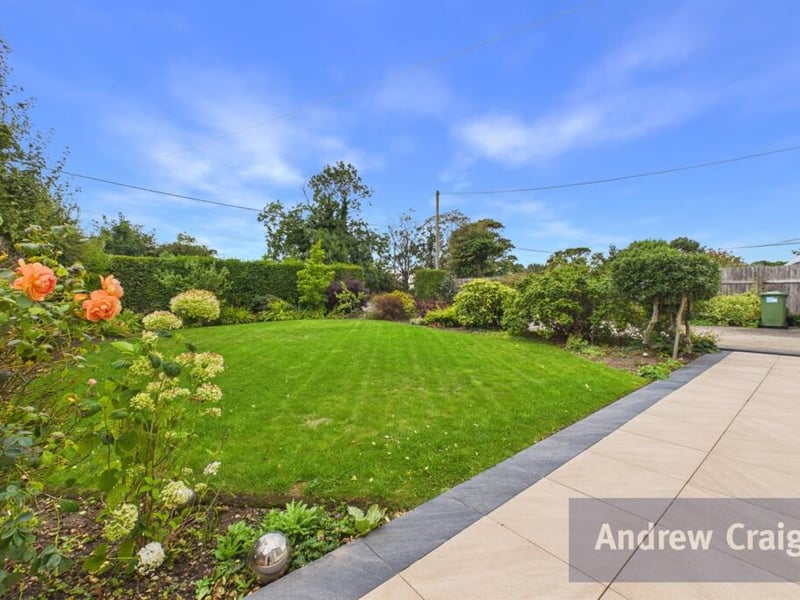 Andrew Craig, Boldon