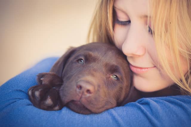 Some dogs are happiest when they're as close to their beloved owner as possible.